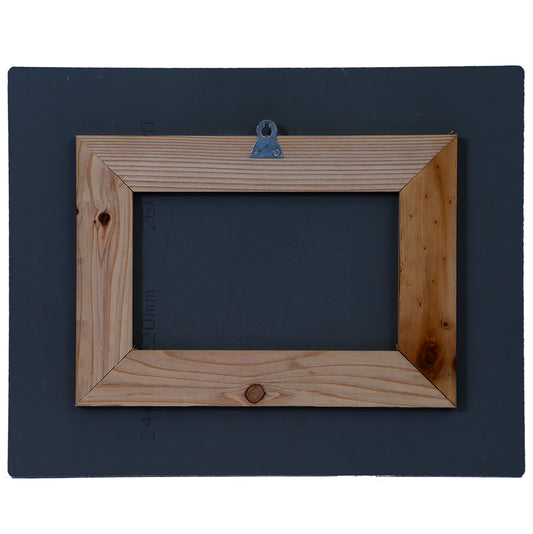 Bansidar1 Metal Print