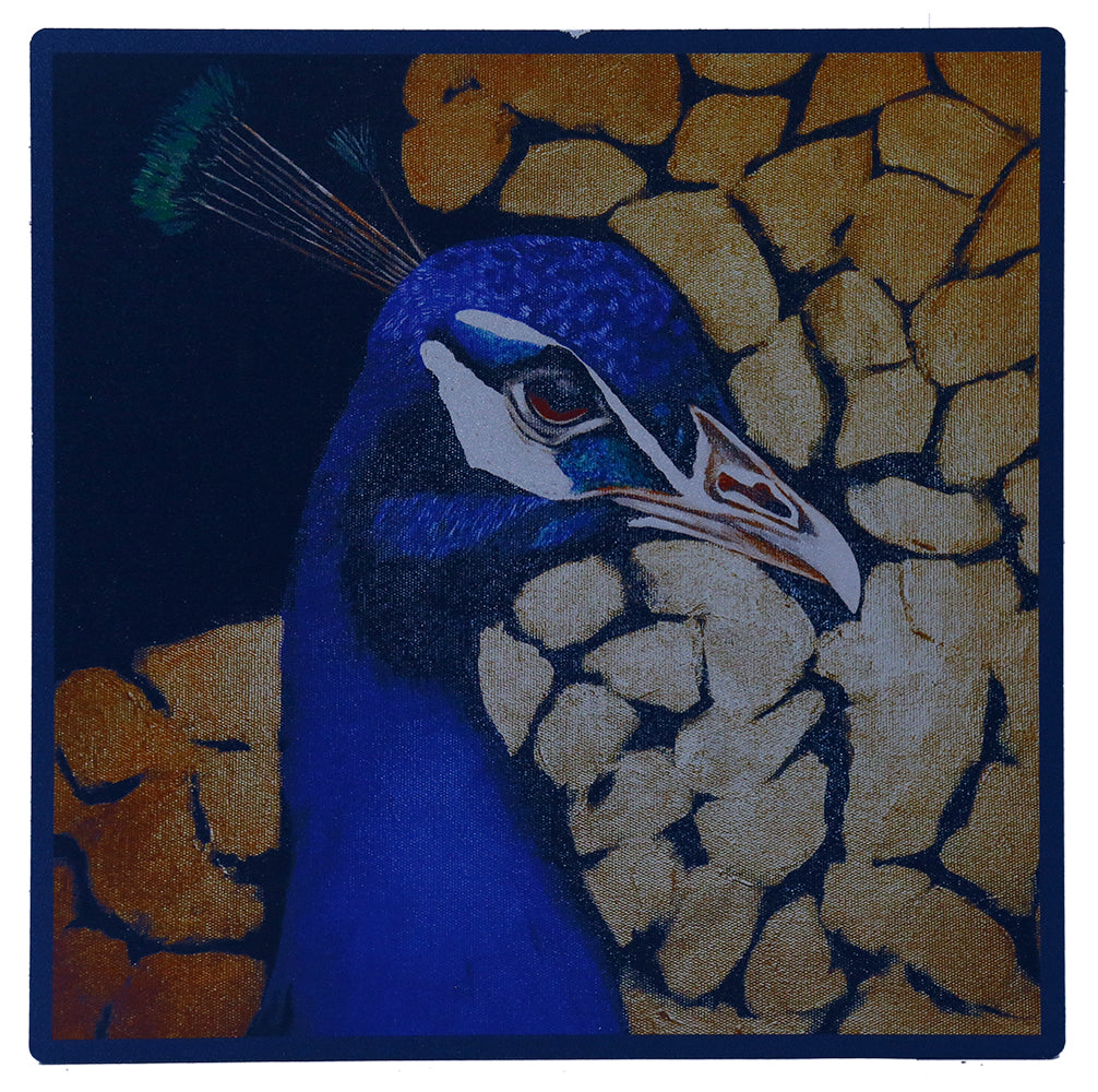 Peacock Metal Print