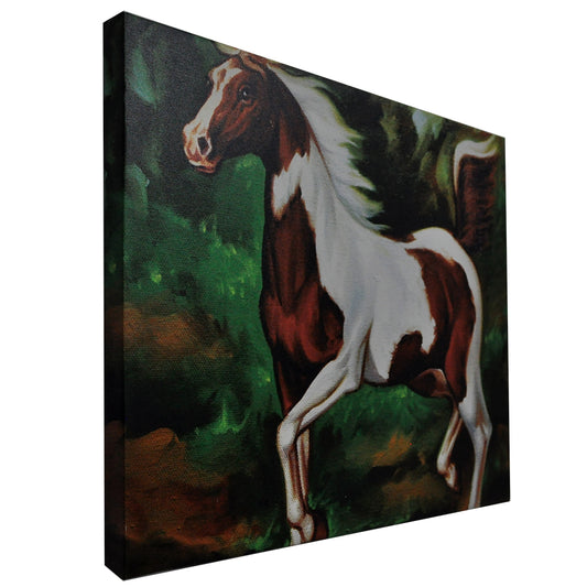 Horse DS Canvas Print