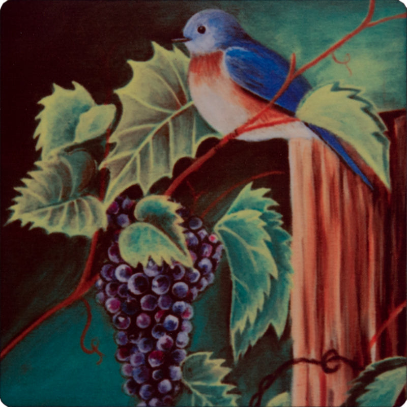 Bird Coasters