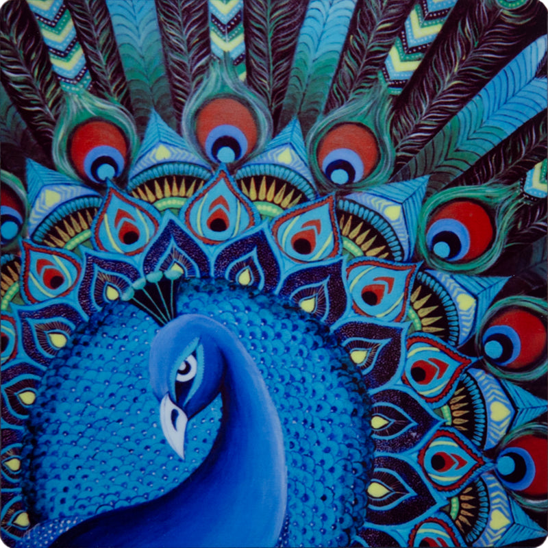Abstract Peacock Coasters