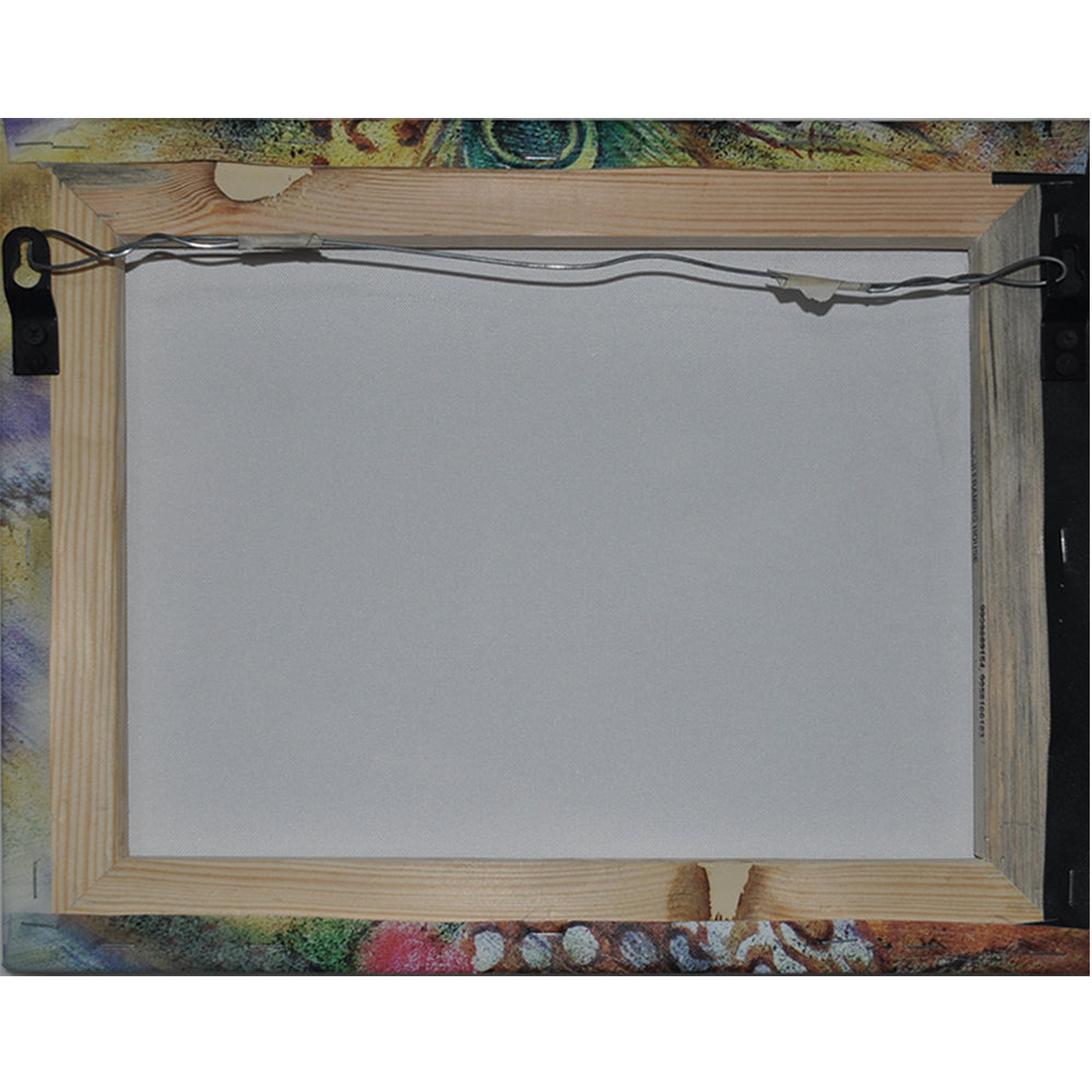 Krishna DS Canvas Print
