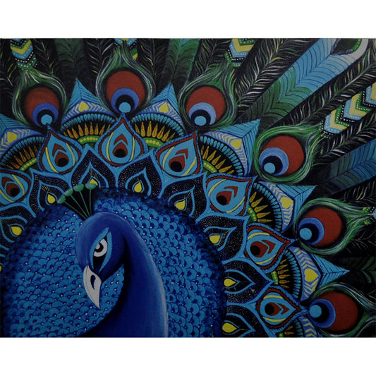 Peacock Canvas Print
