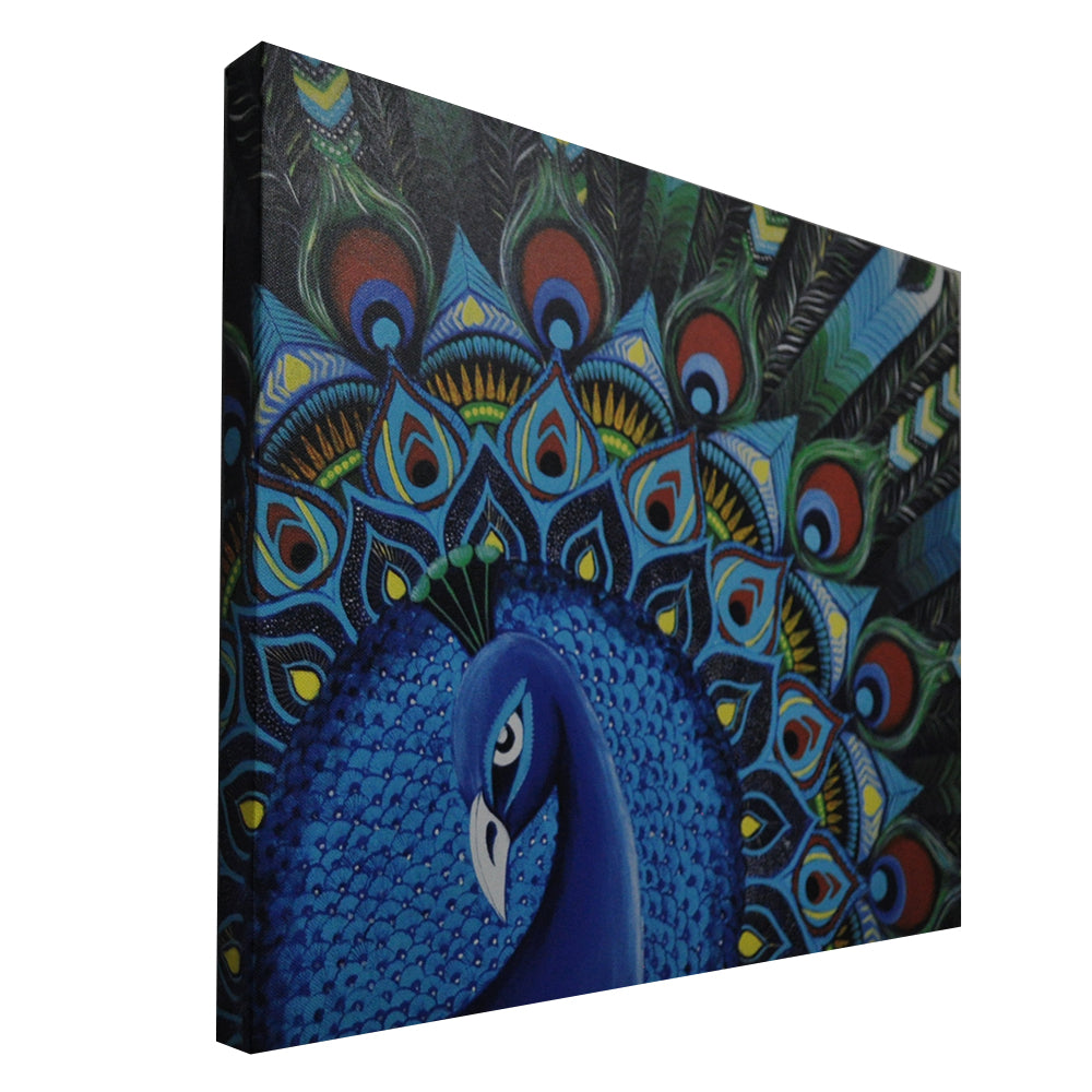 Peacock Canvas Print