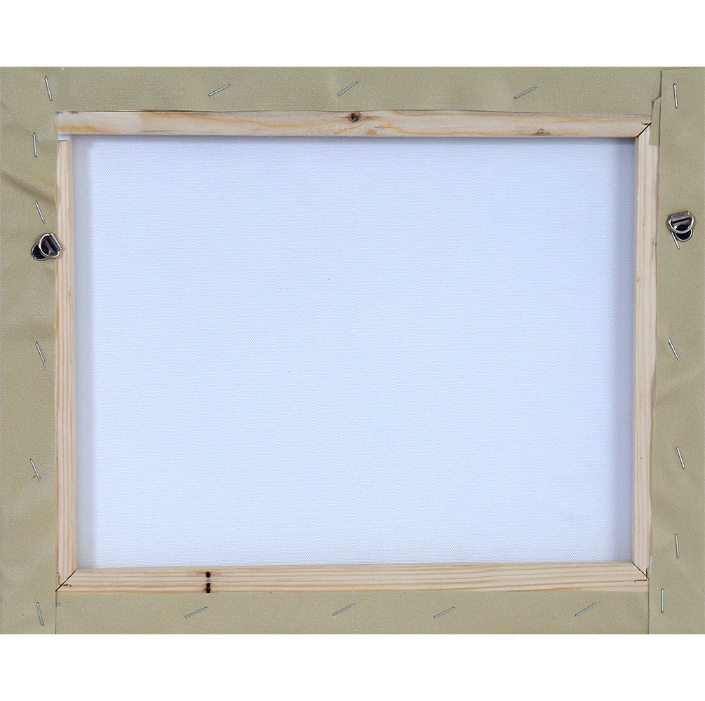 Bansidar 1 Canvas Print