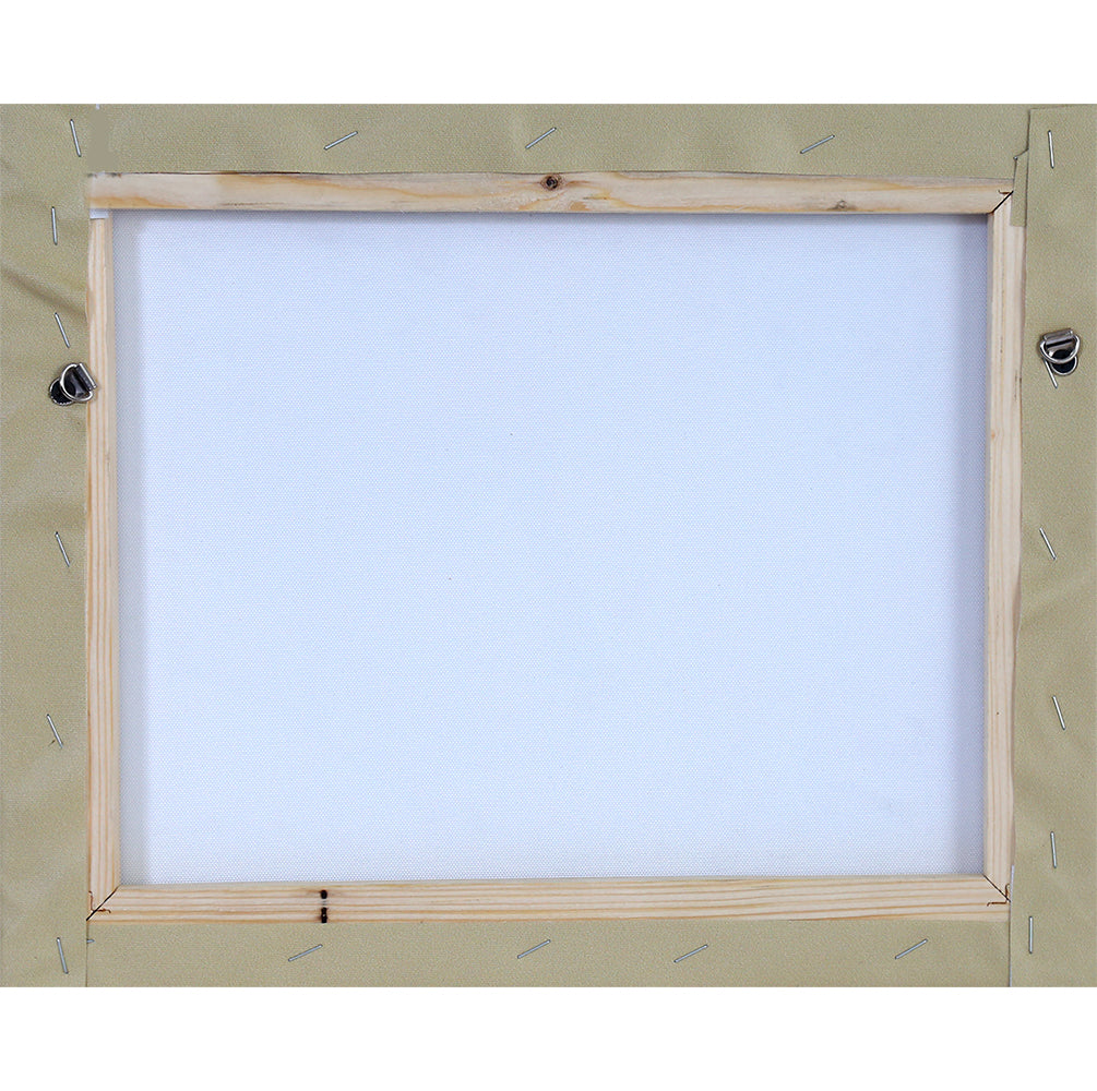 Bansidar 2 Canvas Print