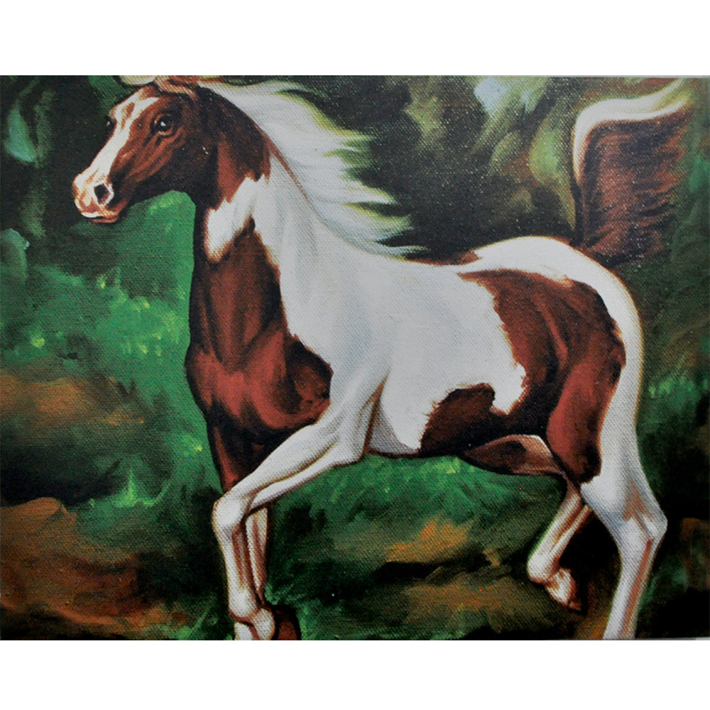 Horse DS Canvas Print